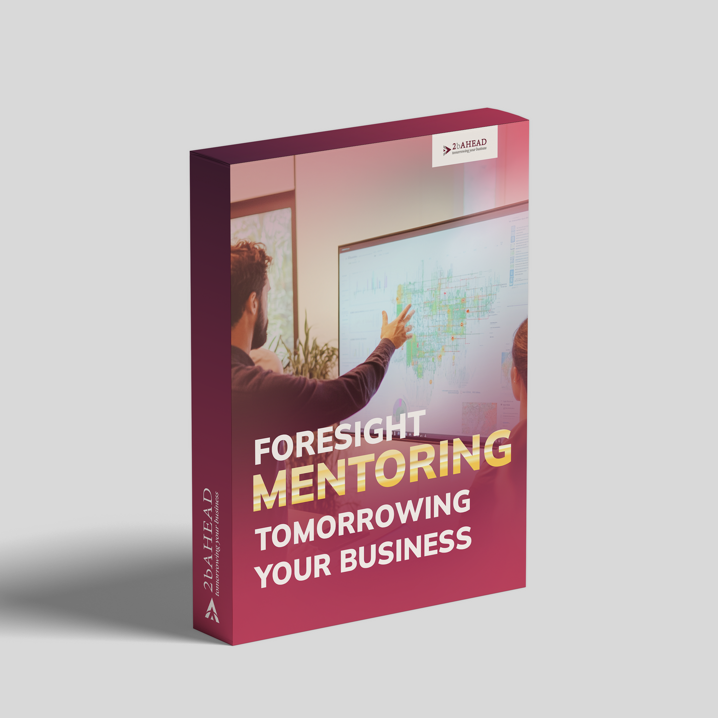 2b AHEAD Tomorrowing your Business - Mentoring