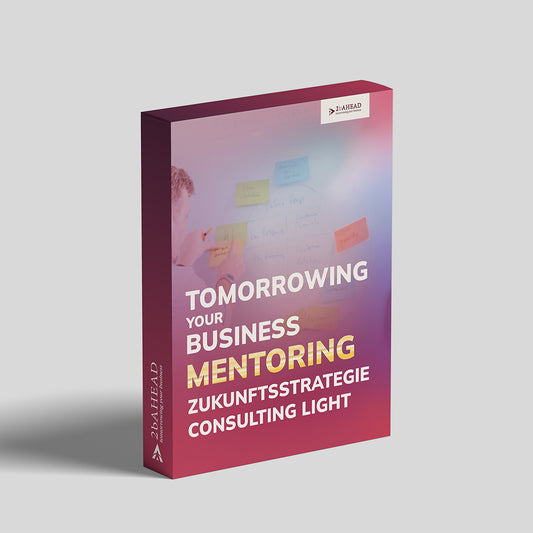 2b AHEAD Zukunftsstrategie Consulting Light
