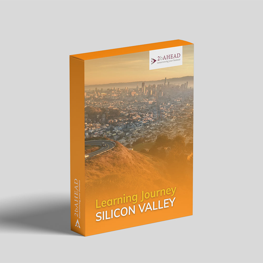 Learning Journey: Silicon Valley
