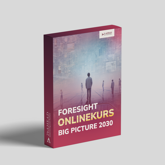 Onlinekurs: Big Picture 2030