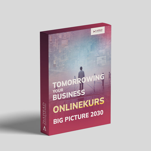 Onlinekurs: Big Picture 2030